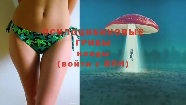 марки lsd Богородицк