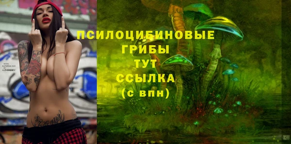 марки lsd Богородицк