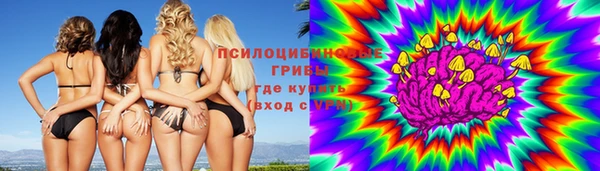 мяу мяу мука Богданович
