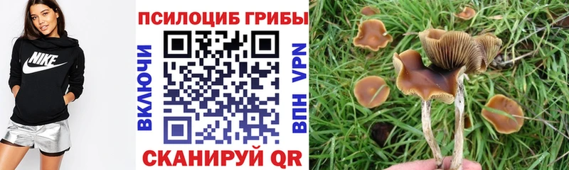 где можно купить Бугуруслан Псилоцибиновые грибы Magic Shrooms